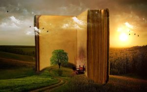 Afbeelding van <a href="https://pixabay.com/nl/users/mysticsartdesign-322497/?utm_source=link-attribution&utm_medium=referral&utm_campaign=image&utm_content=863418">Mystic Art Design</a> via <a href="https://pixabay.com/nl//?utm_source=link-attribution&utm_medium=referral&utm_campaign=image&utm_content=863418">Pixabay</a>